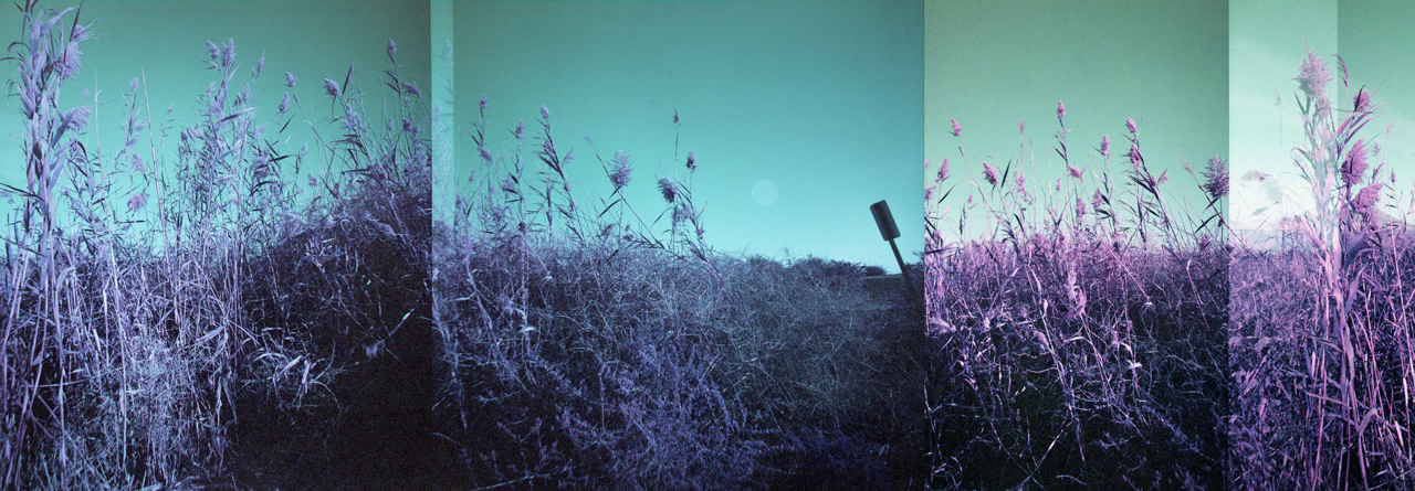 Linda Alterwitz, series Desert Project