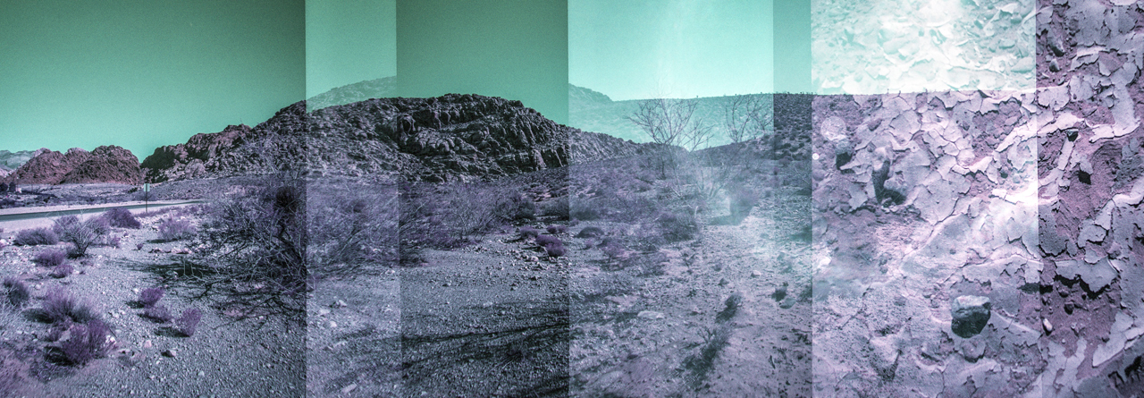 Linda Alterwitz, series Desert Project