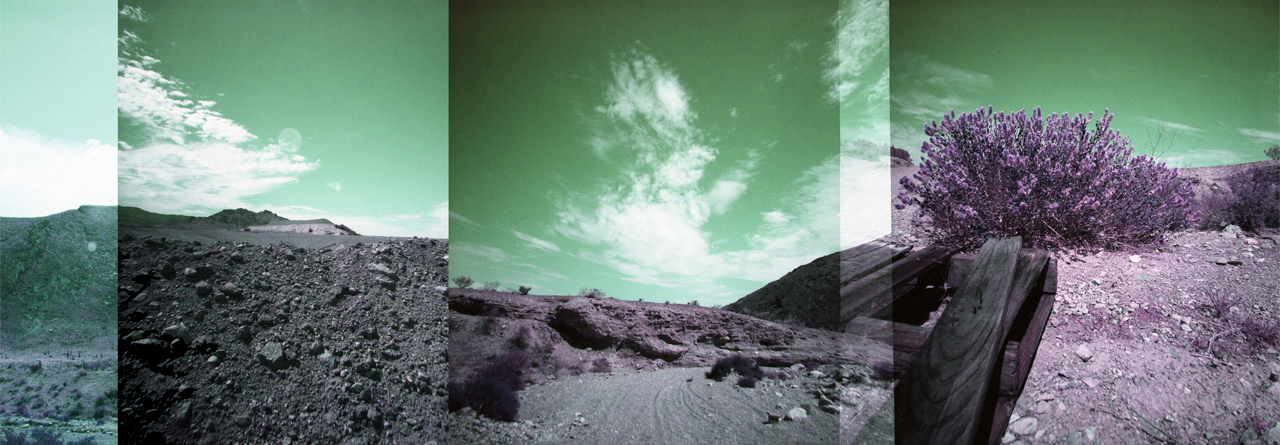 Linda Alterwitz, series Desert Project