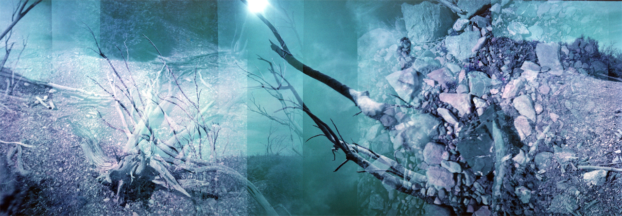 Linda Alterwitz, series Desert Project