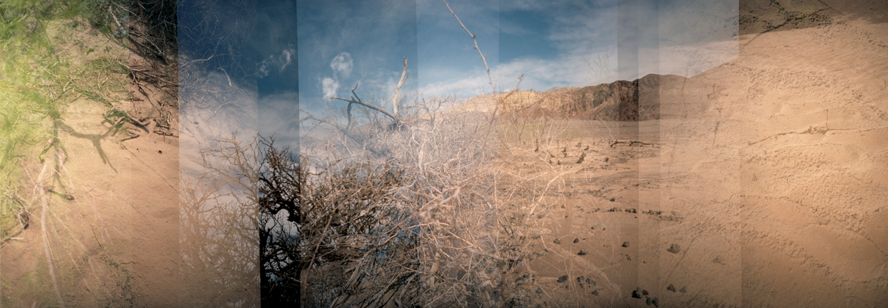 Linda Alterwitz, series Desert Project