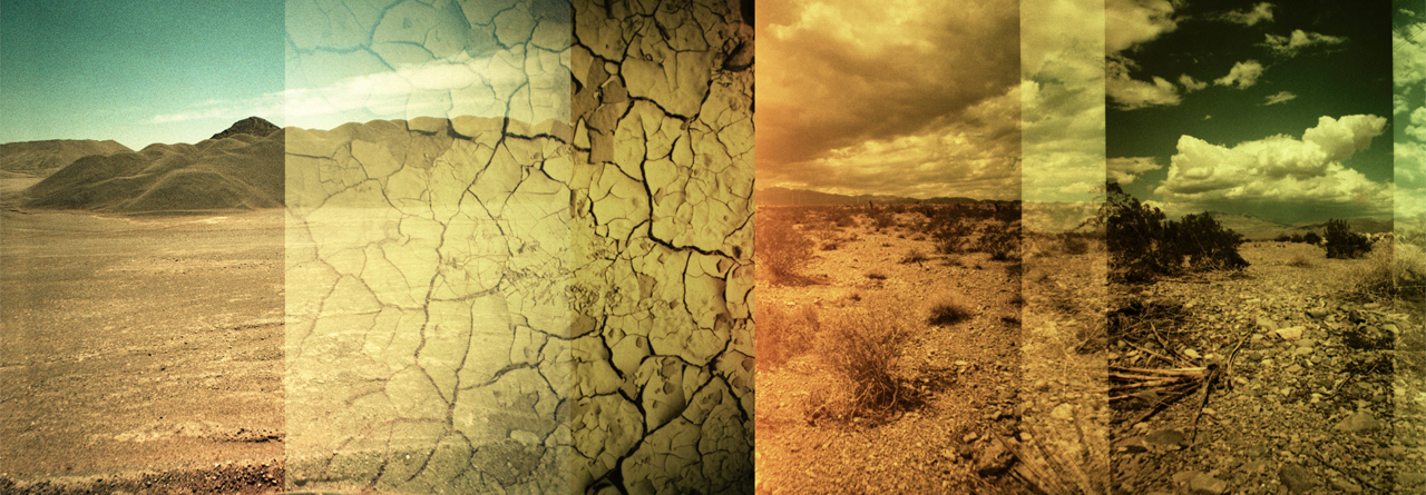 Linda Alterwitz, series Desert Project