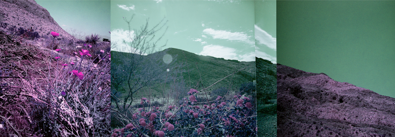 Linda Alterwitz, series Desert Project