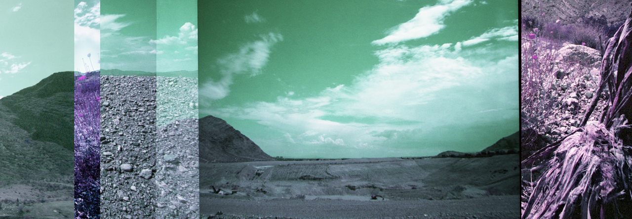 Linda Alterwitz, series Desert Project