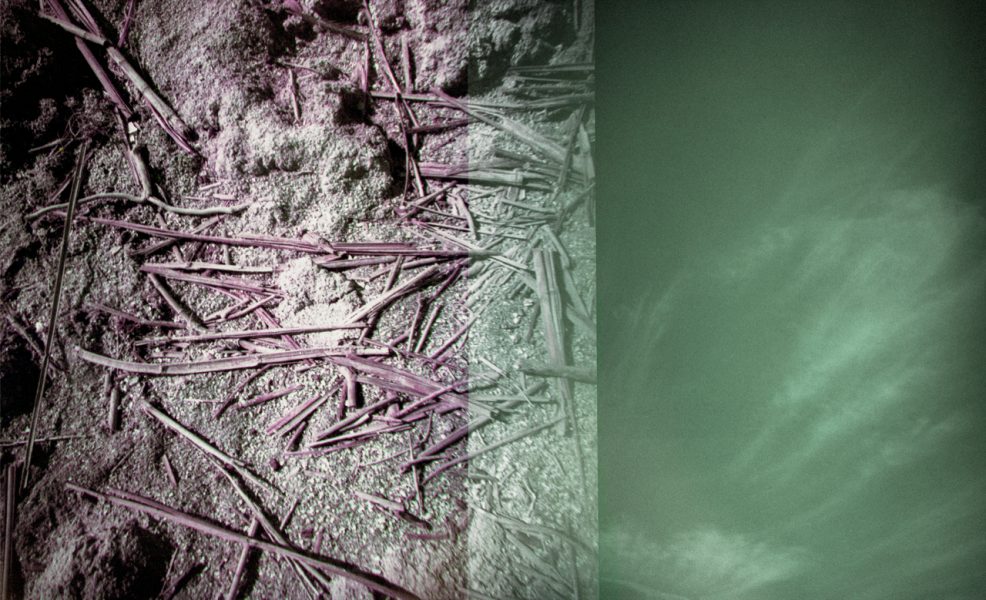 Linda Alterwitz, series Desert Project