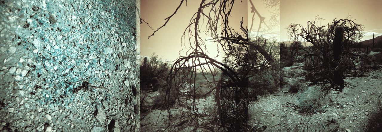 Linda Alterwitz, series Desert Project