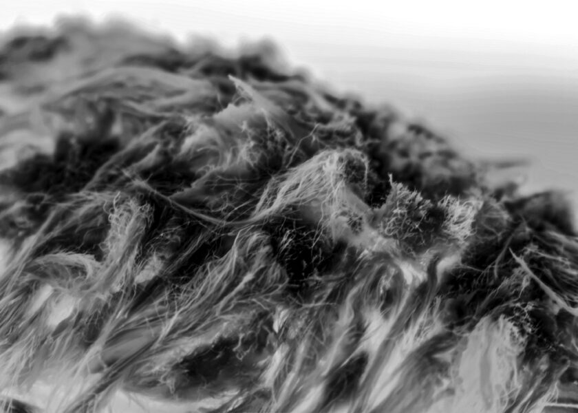 Linda Alterwitz, project Conversations With the Sun, series Joshua