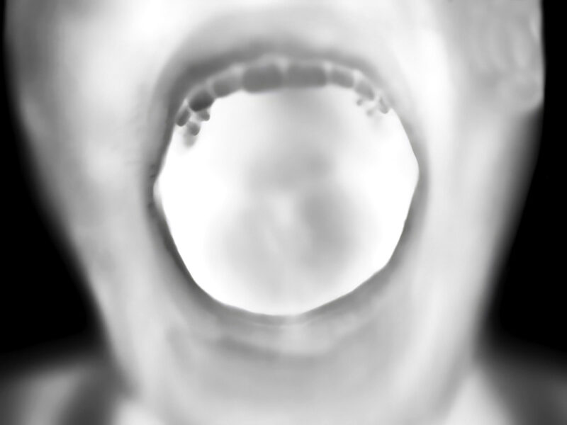 Linda Alterwitz, thermal portrait