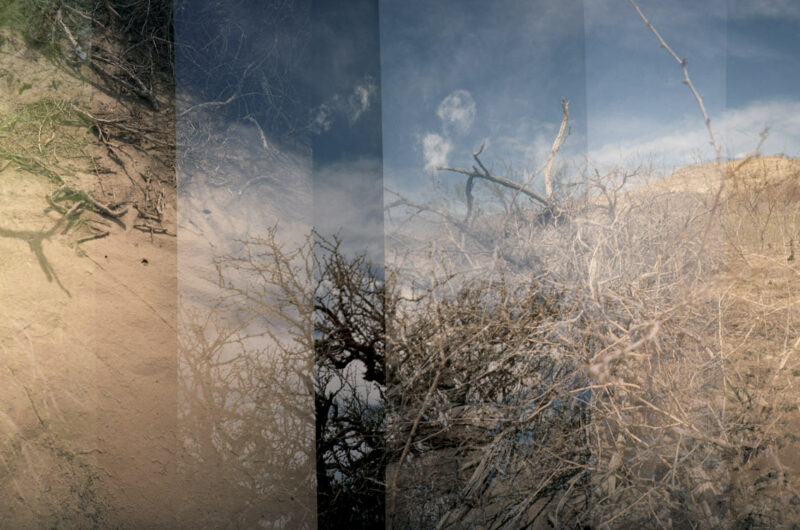 Linda Alterwitz, series Desert Project