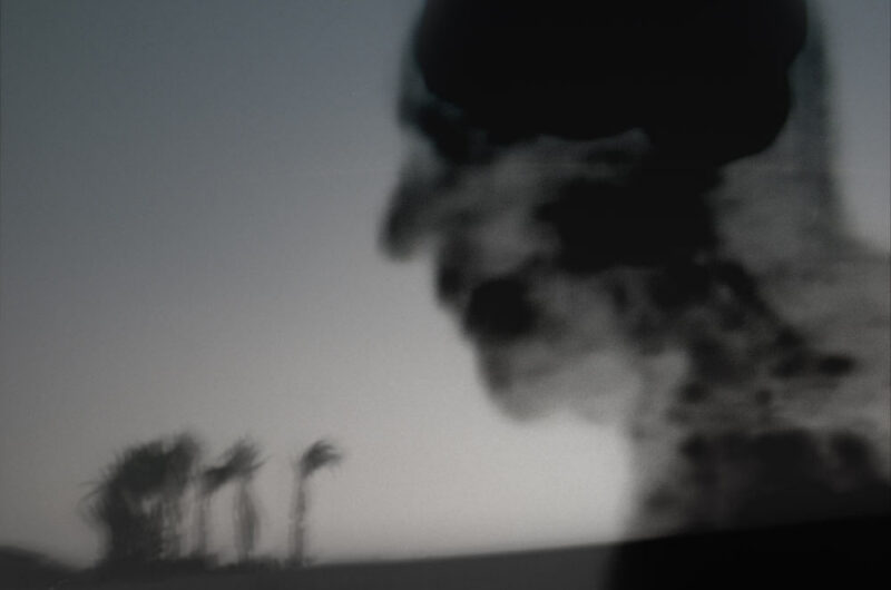 Linda Alterwitz, series While I Am Still