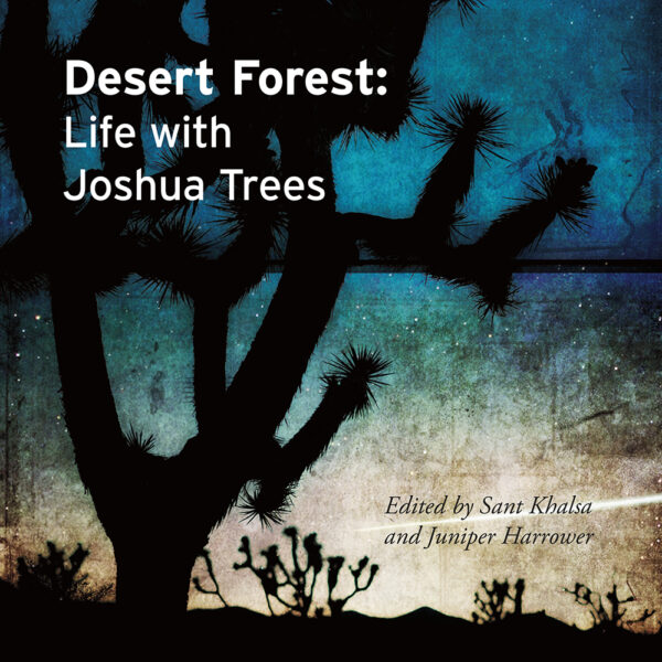 1.DesertForest_BookCover 1.DesertForest_BookCover